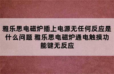 雅乐思电磁炉插上电源无任何反应是什么问题 雅乐思电磁炉通电触摸功能键无反应